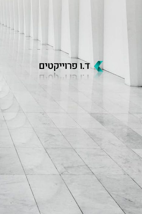 ד.ו פרויקטים