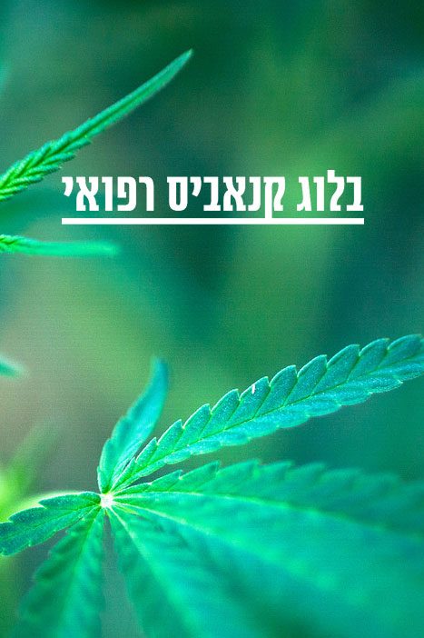 בלוג קנאביס רפואי