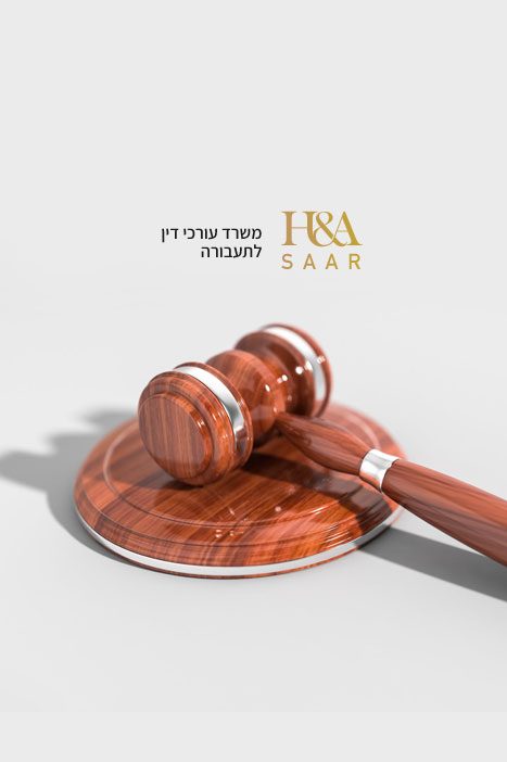חגי ואלון סער